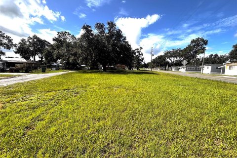 Terrain à vendre à Zephyrhills, Floride № 1831832 - photo 8