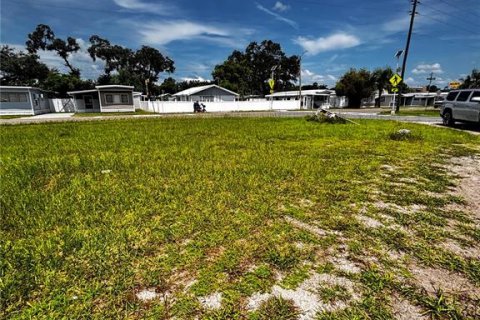 Terrain à vendre à Zephyrhills, Floride № 1831832 - photo 6