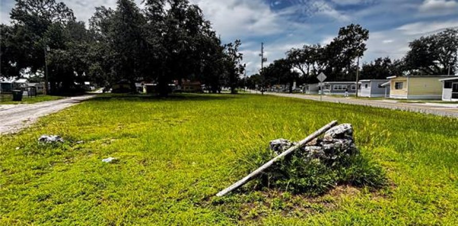Terrain à Zephyrhills, Floride № 1831832