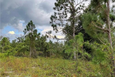 Land in Punta Gorda, Florida № 2161614 - photo 2