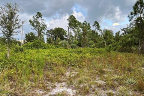 Land in Punta Gorda, Florida № 2161614 - photo 4