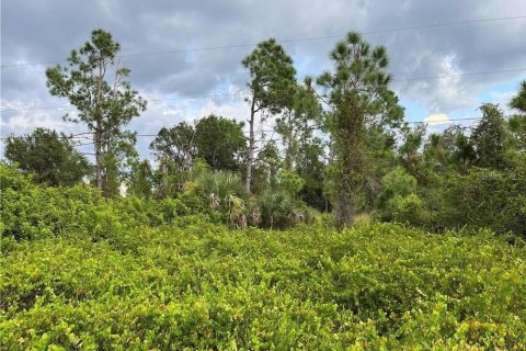 Land in Punta Gorda, Florida № 2161614 - photo 3
