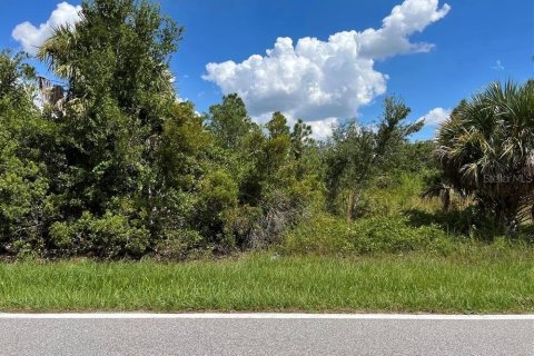 Land in Punta Gorda, Florida № 2161614