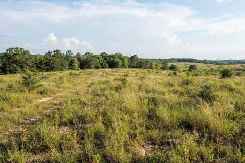 Land in Osteen, Florida № 2275462 - photo 2