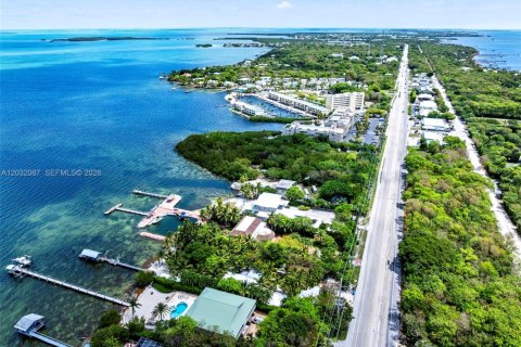 Villa ou maison à vendre à Islamorada, Village of Islands, Floride: 4 chambres, 259.85 m2 № 2077608 - photo 16