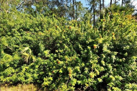 Land in North Port, Florida № 2164872 - photo 2