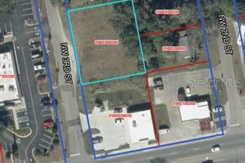 Immobilier commercial à Williston, Floride № 2139163