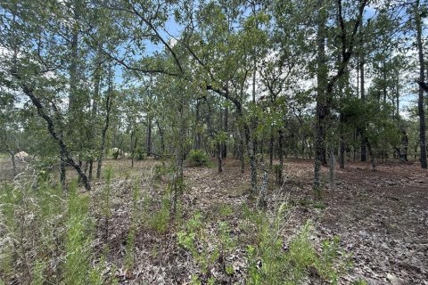 Land in Dunnellon, Florida № 2197203 - photo 6