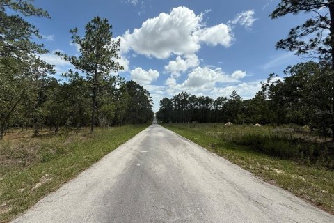 Land in Dunnellon, Florida № 2197203 - photo 4