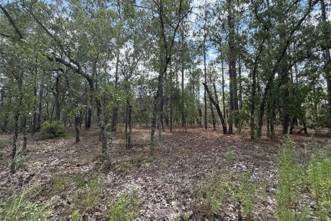 Land in Dunnellon, Florida № 2197203 - photo 5
