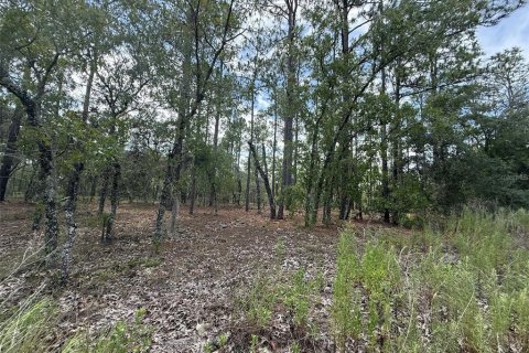 Land in Dunnellon, Florida № 2197203 - photo 7