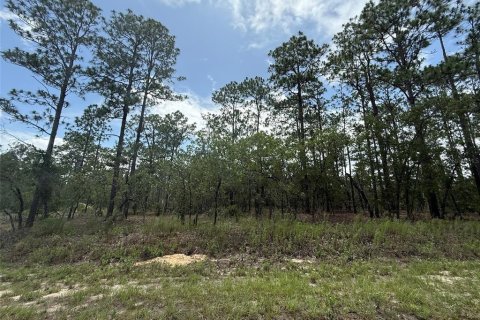 Land in Dunnellon, Florida № 2197203