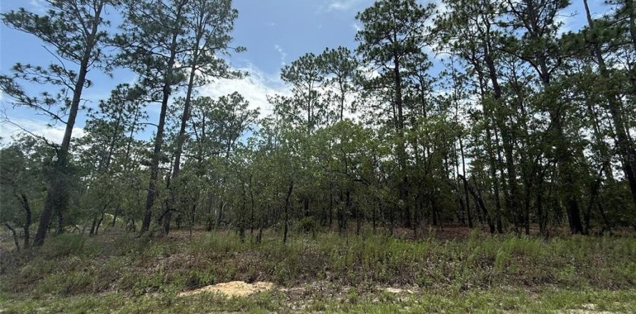 Land in Dunnellon, Florida № 2197203