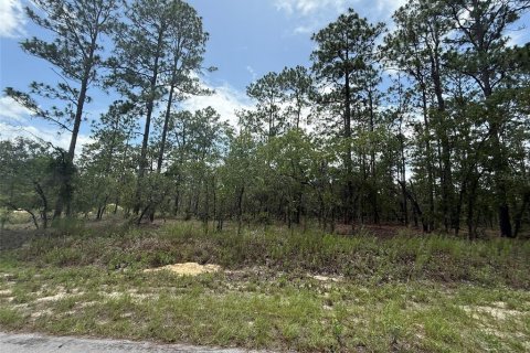 Land in Dunnellon, Florida № 2197203 - photo 3
