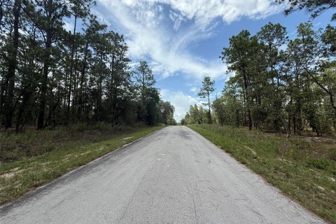 Land in Dunnellon, Florida № 2197203 - photo 2