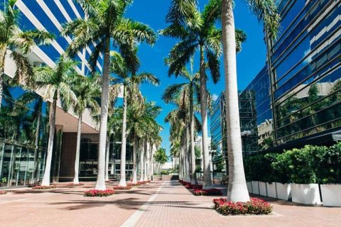 Florida commercial real estate market is expected to grow despite inflation and higher interest rates