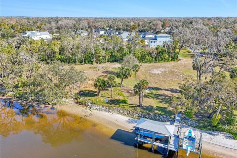 Terreno en venta en Riverview, Florida № 1785190 - foto 5