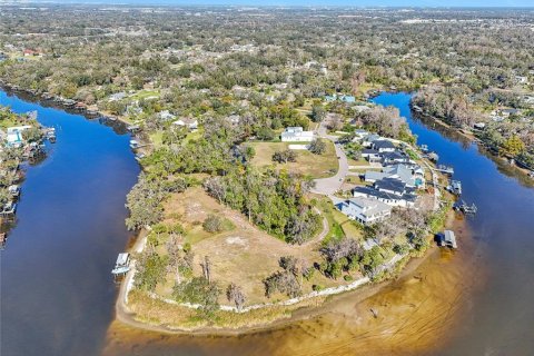 Terreno en venta en Riverview, Florida № 1785190 - foto 13