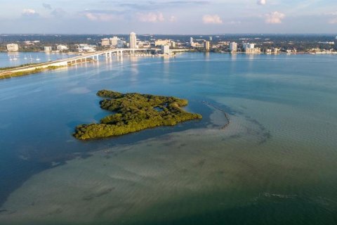 Condominio en venta en Clearwater, Florida, 2 dormitorios, 121.7 m2 № 2212804 - foto 4
