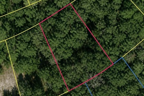 Land in Ocklawaha, Florida № 2161472