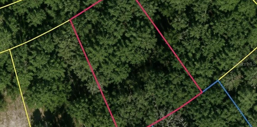 Land in Ocklawaha, Florida № 2161472