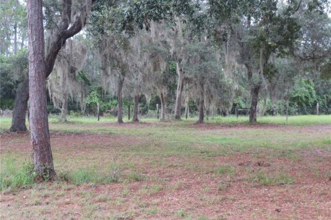 Villa ou maison à louer à Ocklawaha, Floride: 3 chambres, 165.55 m2 № 2092132 - photo 24