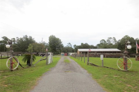 Villa ou maison à louer à Ocklawaha, Floride: 3 chambres, 165.55 m2 № 2092132 - photo 6