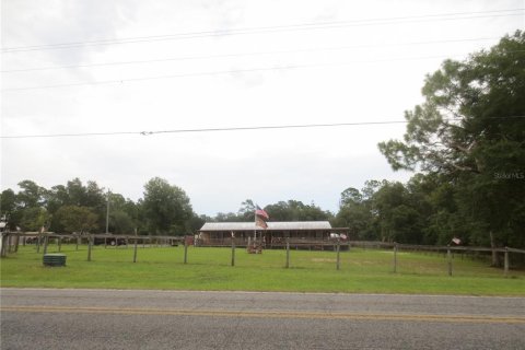 Villa ou maison à louer à Ocklawaha, Floride: 3 chambres, 165.55 m2 № 2092132 - photo 3