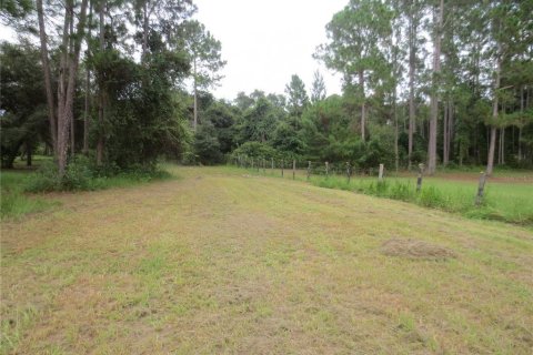 Villa ou maison à louer à Ocklawaha, Floride: 3 chambres, 165.55 m2 № 2092132 - photo 21