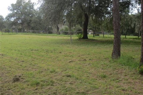 Villa ou maison à louer à Ocklawaha, Floride: 3 chambres, 165.55 m2 № 2092132 - photo 25