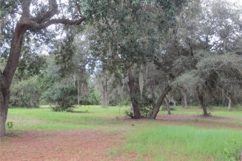 Villa ou maison à louer à Ocklawaha, Floride: 3 chambres, 165.55 m2 № 2092132 - photo 23