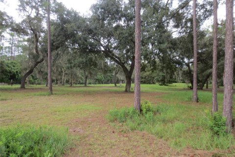 Villa ou maison à louer à Ocklawaha, Floride: 3 chambres, 165.55 m2 № 2092132 - photo 22
