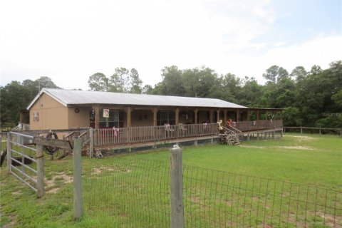 Villa ou maison à Ocklawaha, Floride 3 chambres, 165.55 m2 № 2092132