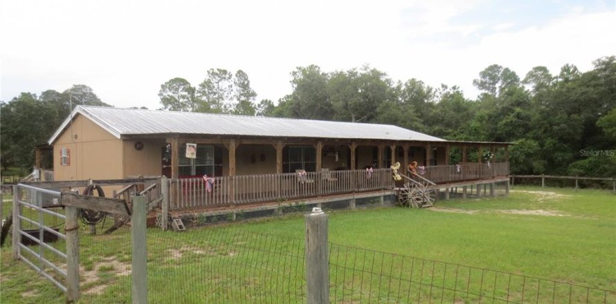 Villa ou maison à Ocklawaha, Floride 3 chambres, 165.55 m2 № 2092132