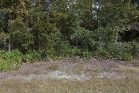 Land in Mims, Florida № 2165404 - photo 3