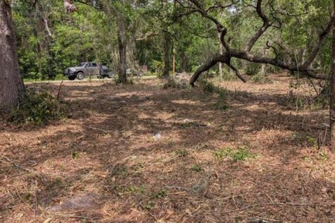 Land in Fort MC Coy, Florida № 2103862 - photo 4