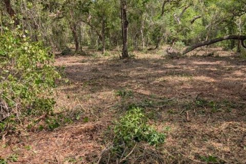 Land in Fort MC Coy, Florida № 2103862 - photo 10