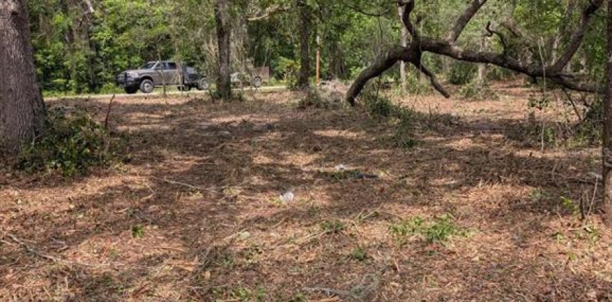 Land in Fort MC Coy, Florida № 2103862