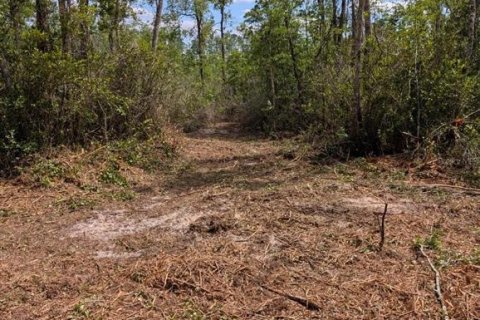 Land in Fort MC Coy, Florida № 2103862 - photo 6