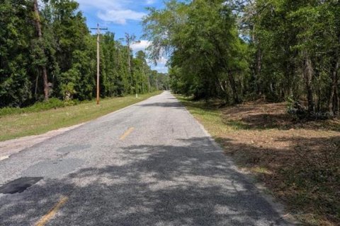 Land in Fort MC Coy, Florida № 2103862 - photo 3