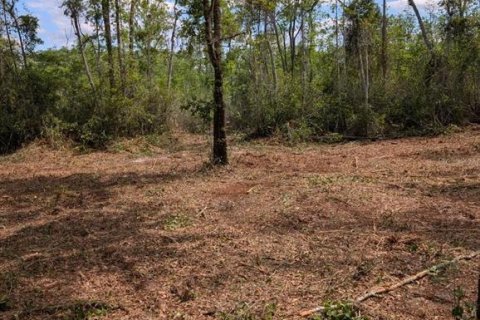 Land in Fort MC Coy, Florida № 2103862 - photo 7