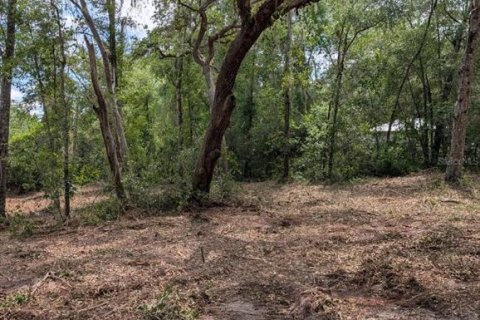 Land in Fort MC Coy, Florida № 2103862 - photo 9