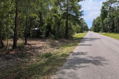 Land in Fort MC Coy, Florida № 2103862 - photo 2