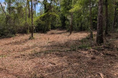 Land in Fort MC Coy, Florida № 2103862 - photo 8