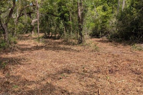 Land in Fort MC Coy, Florida № 2103862 - photo 5