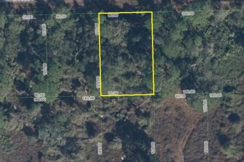 Terreno en Lake Placid, Florida № 2165523