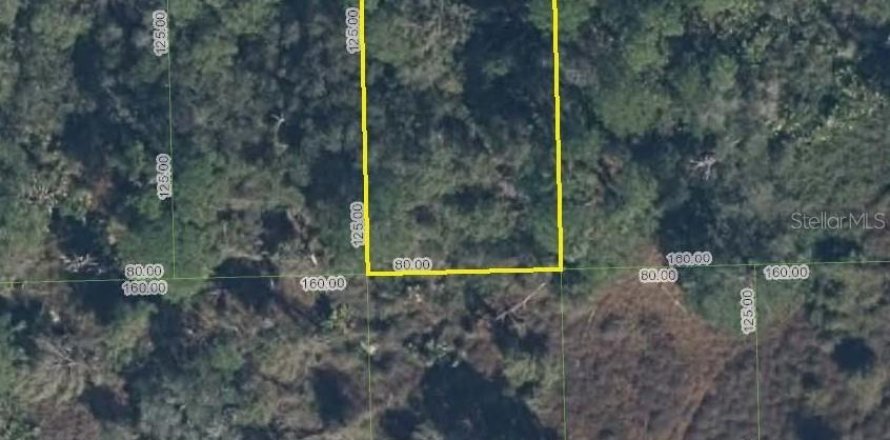 Land in Lake Placid, Florida № 2165523