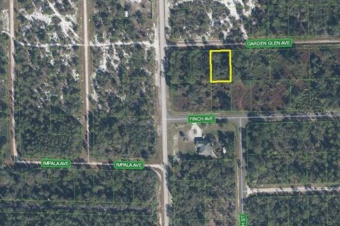 Land in Lake Placid, Florida № 2165523 - photo 3