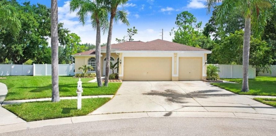 House in Tampa, Florida 3 bedrooms, 186.45 sq.m. № 1887025