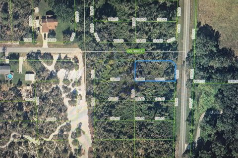 Land in Lake Placid, Florida № 2273034 - photo 4
